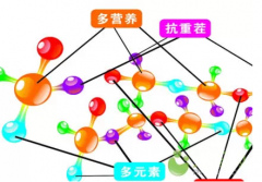 检测人体的微量元素分析仪仪价格到底是多少