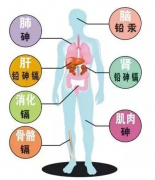 全自动微量元素检测仪器-亚健康人群 感觉身体被掏空快来检测下